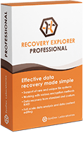 Recovery Explorer Professional