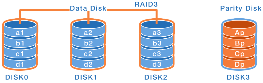 RAID2 und RAID3 Datensruktur